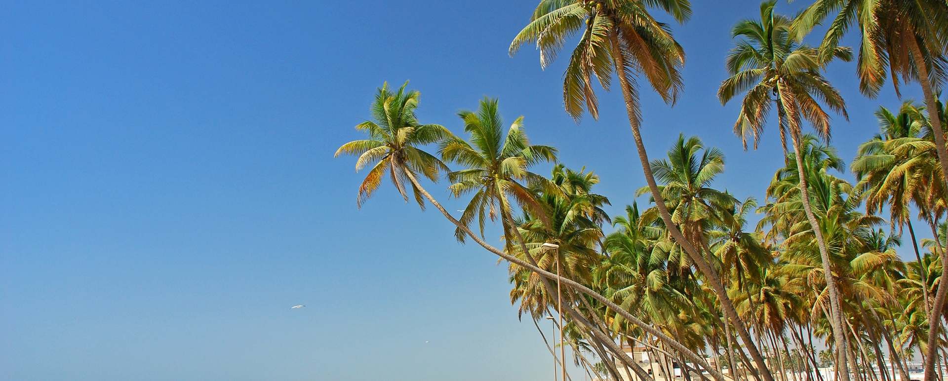 Salalah 