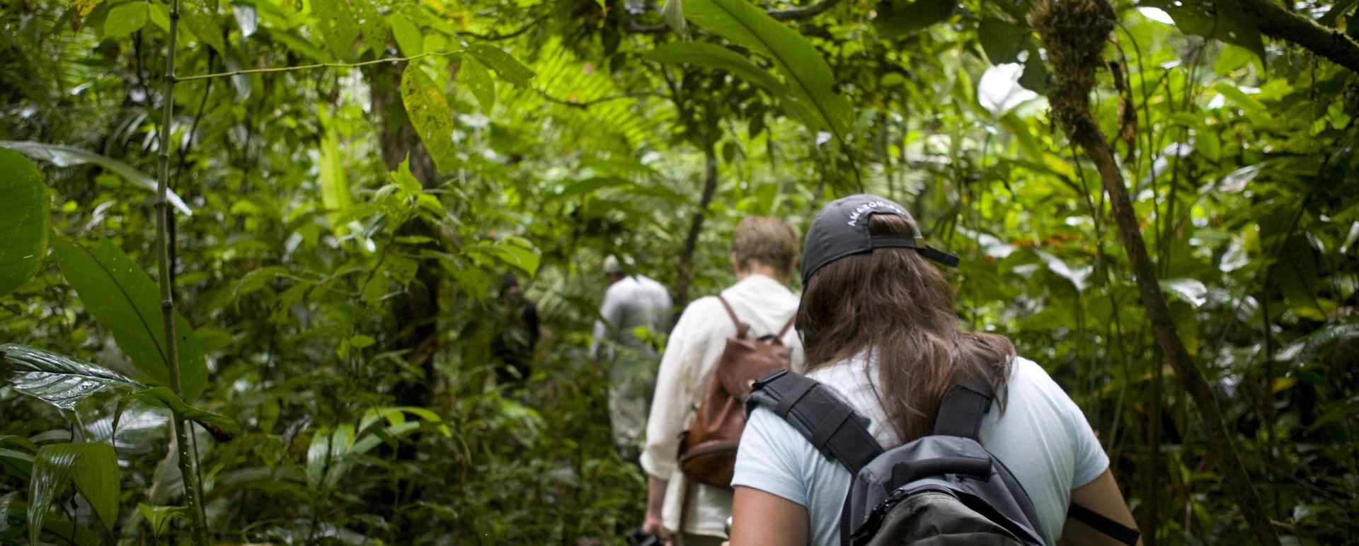 Jungle Trekking  