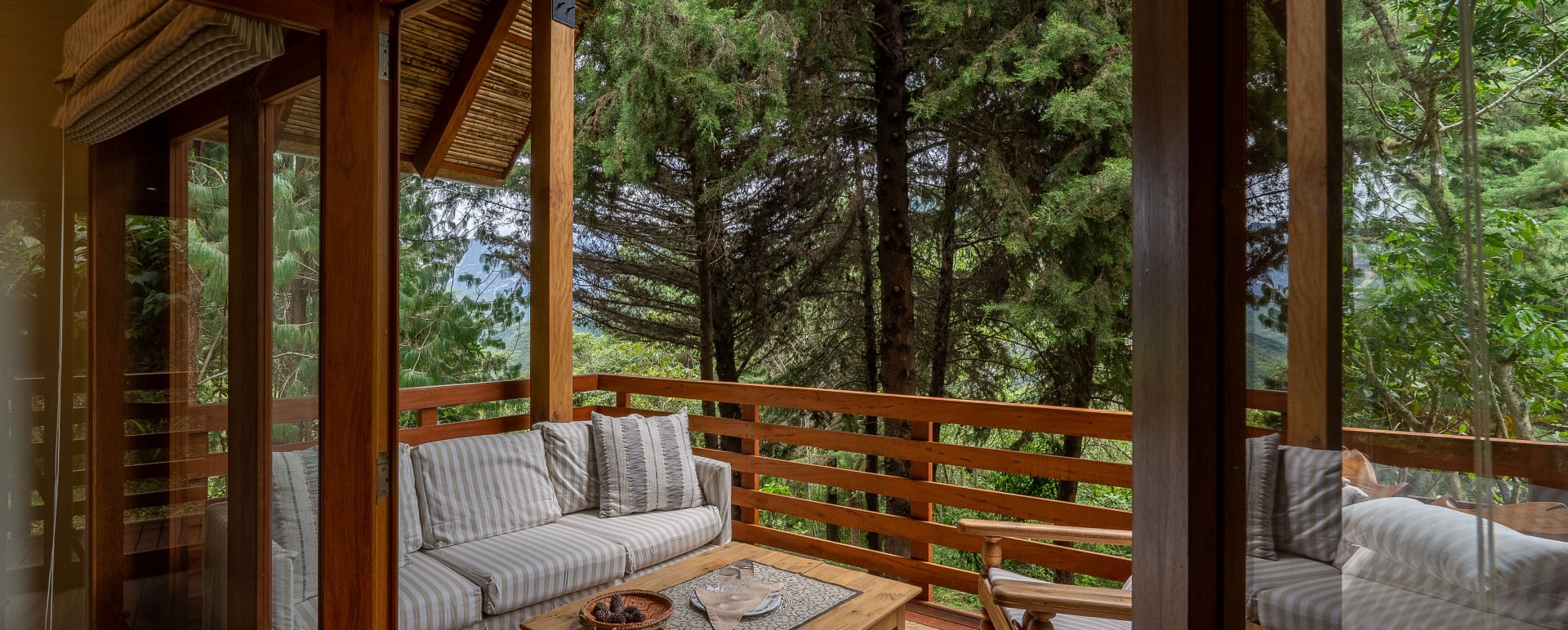  Cabin Bromelia 