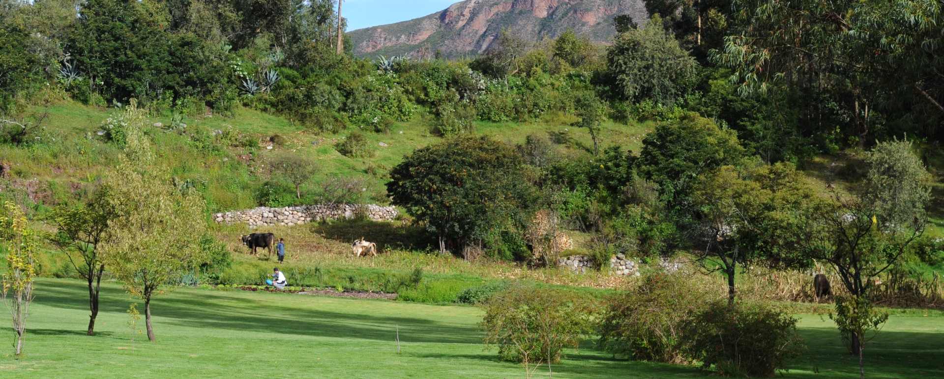 Grounds - Belmond Hotel Rio Sagrado