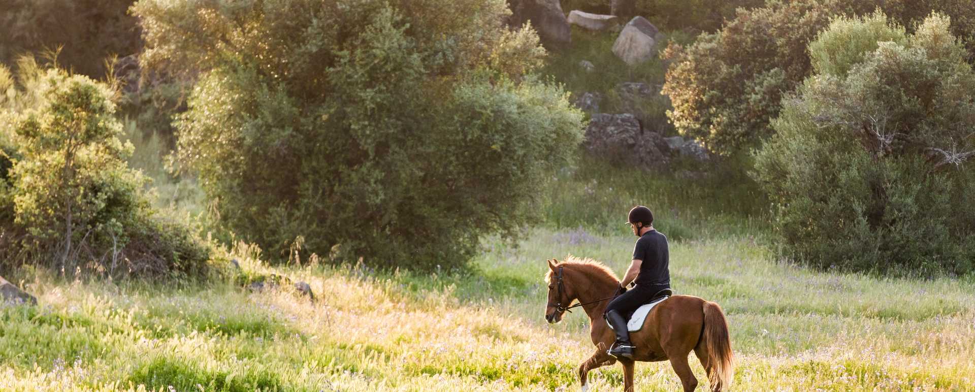 Horse riding 
