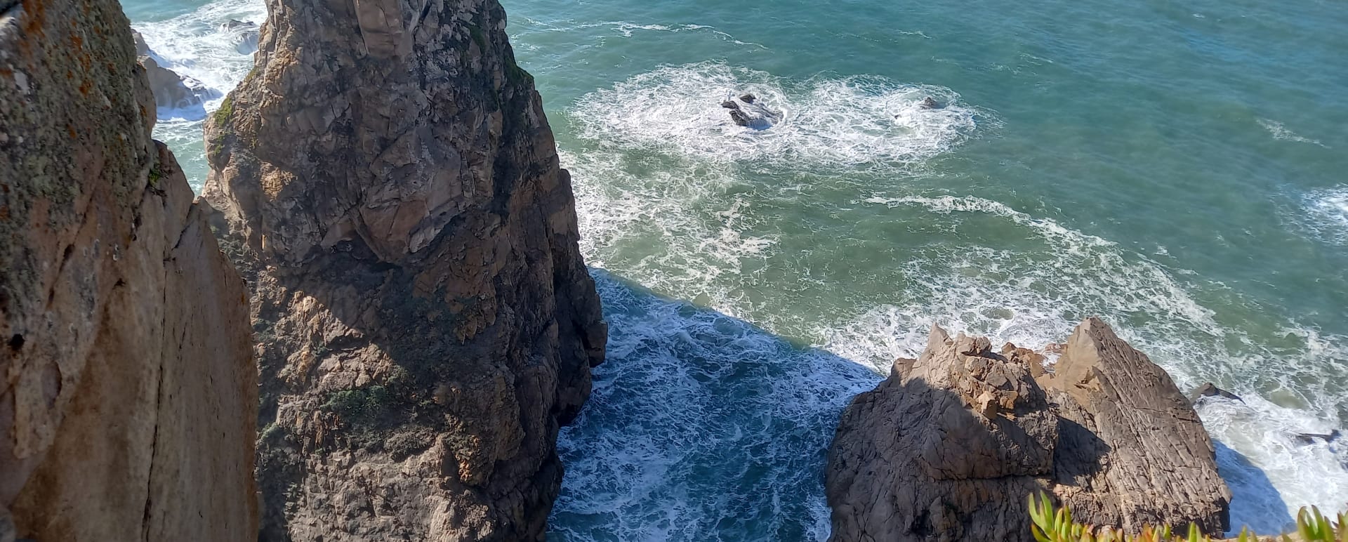 Coastal immersion therapy