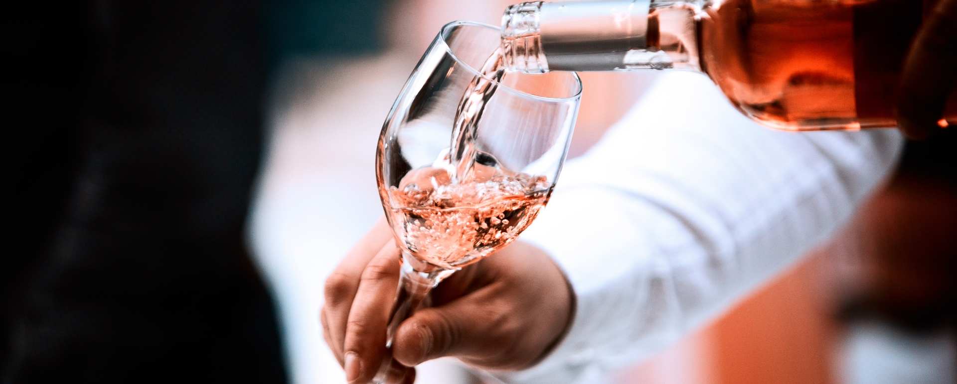 Exclusive private wine tasting at Dona Maria Winery