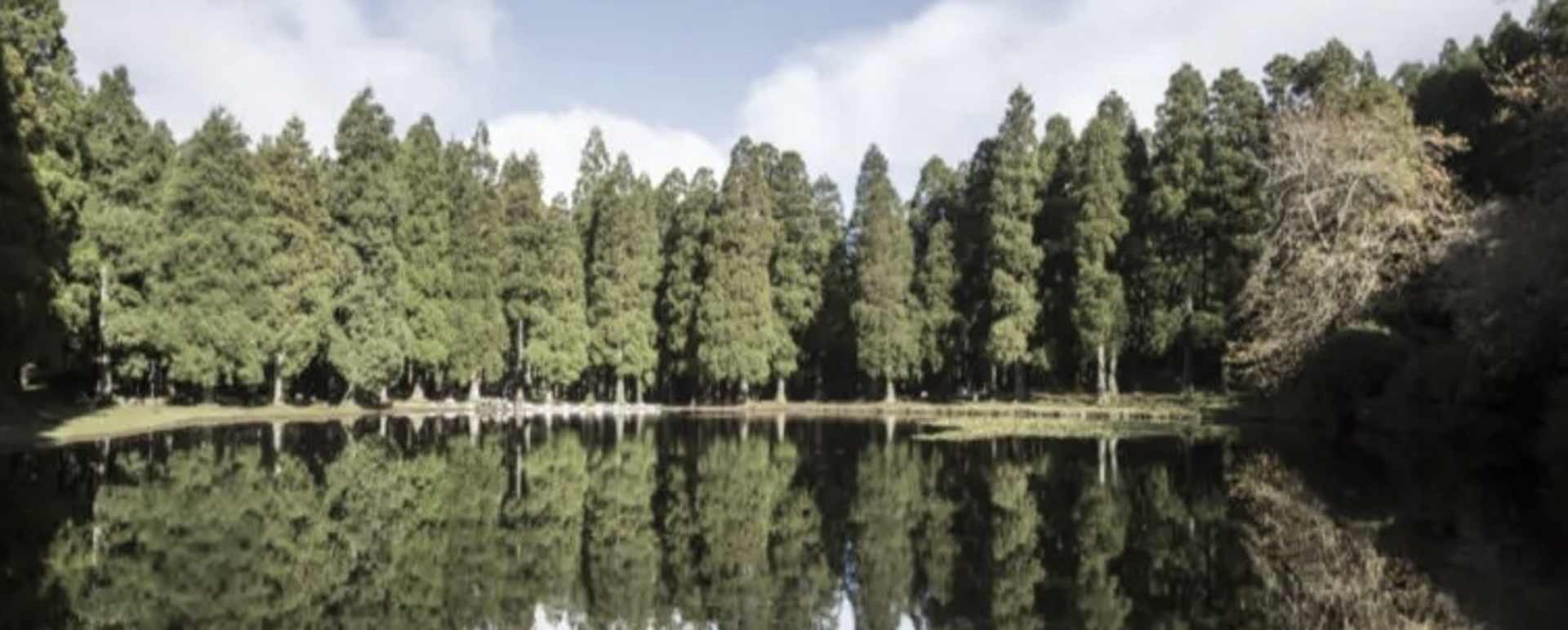 Hike through the Black Mysteries Terceira Island