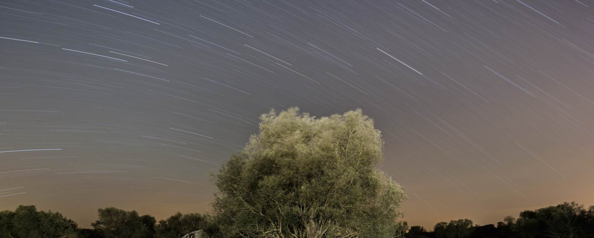 Stargazing at Sao Lourenco do Barrocal