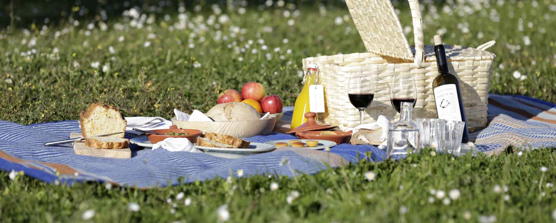 Picnic - A family adventure in Portugal