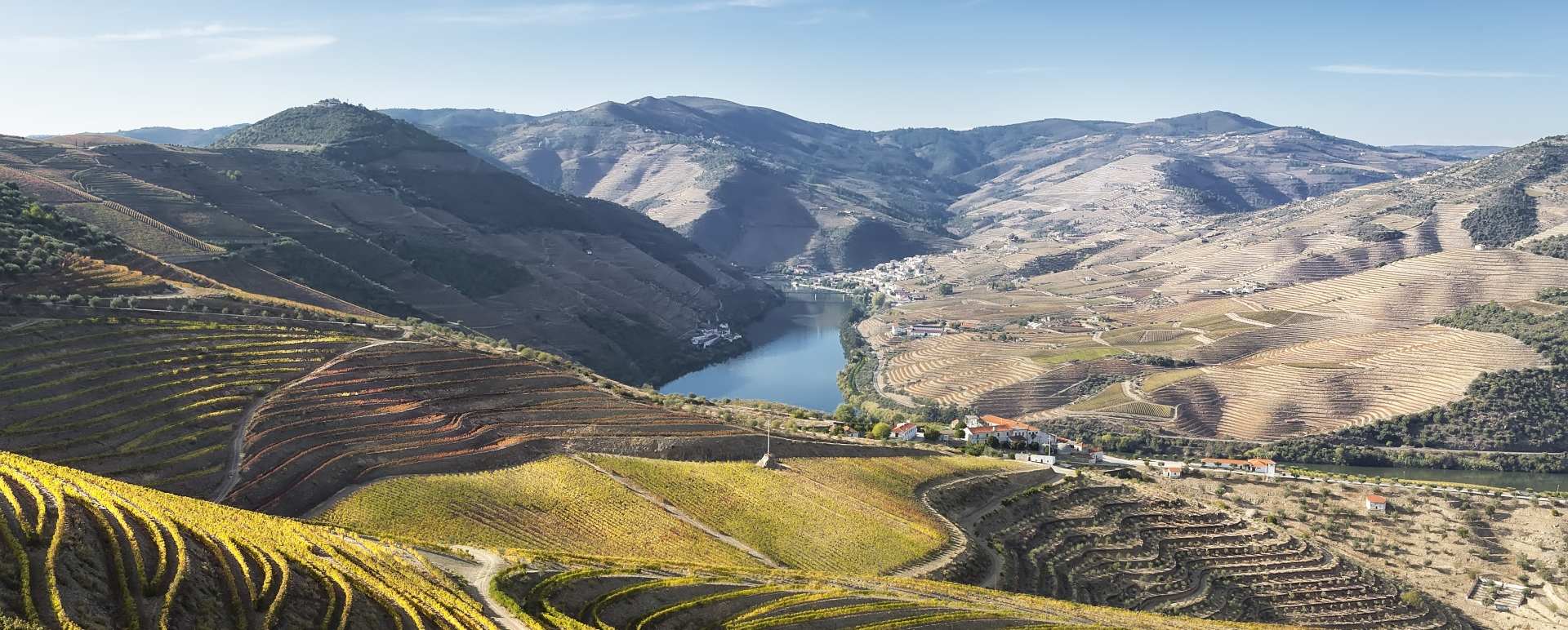 Douro Valley 
