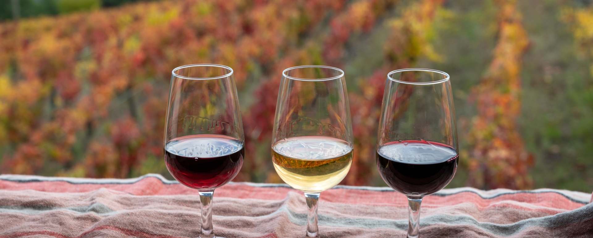 Port in the Douro Valley 