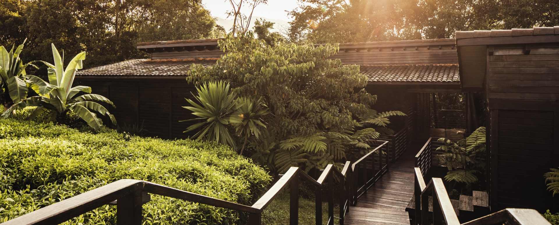 Room Exterior - Nyungwe House