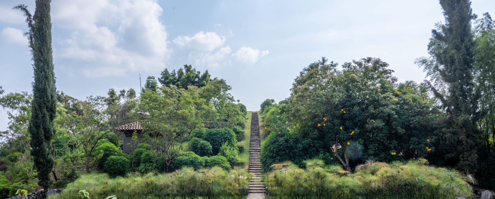 Gardens 