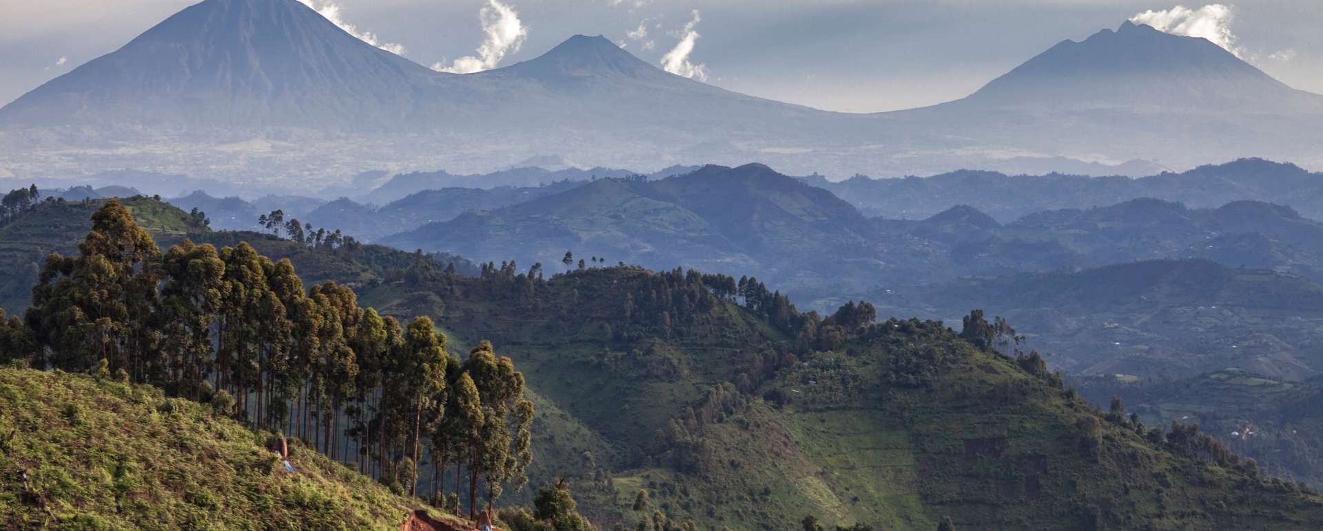 Volcanoes National park - Highlights of Rwanda