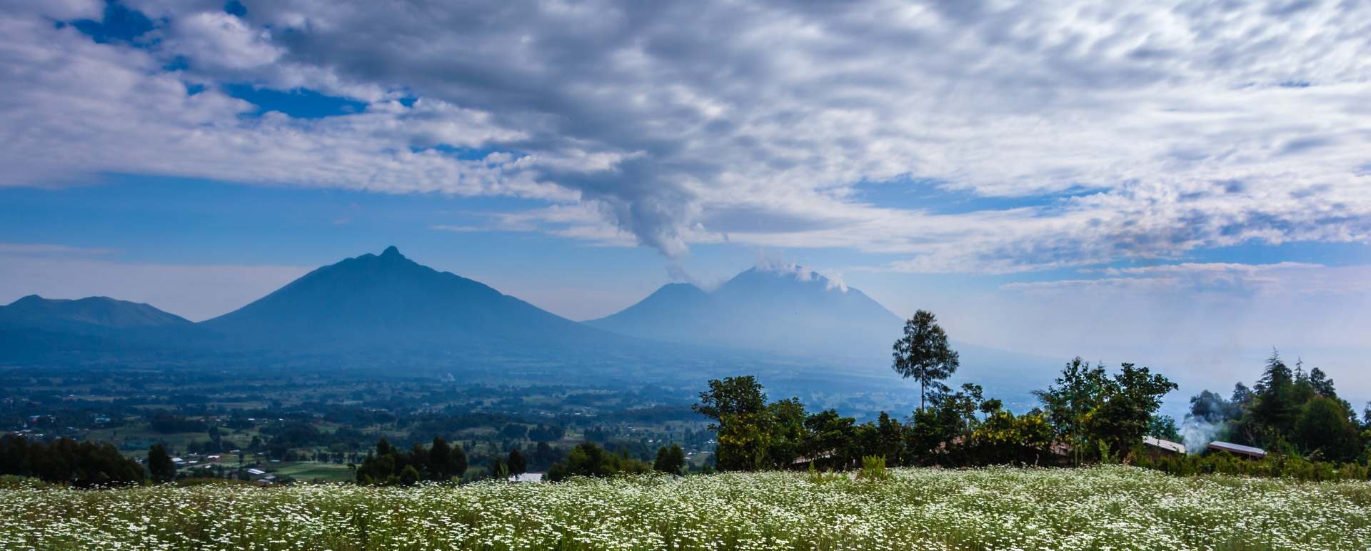 Volcanoes National Park - Highlights of Rwanda