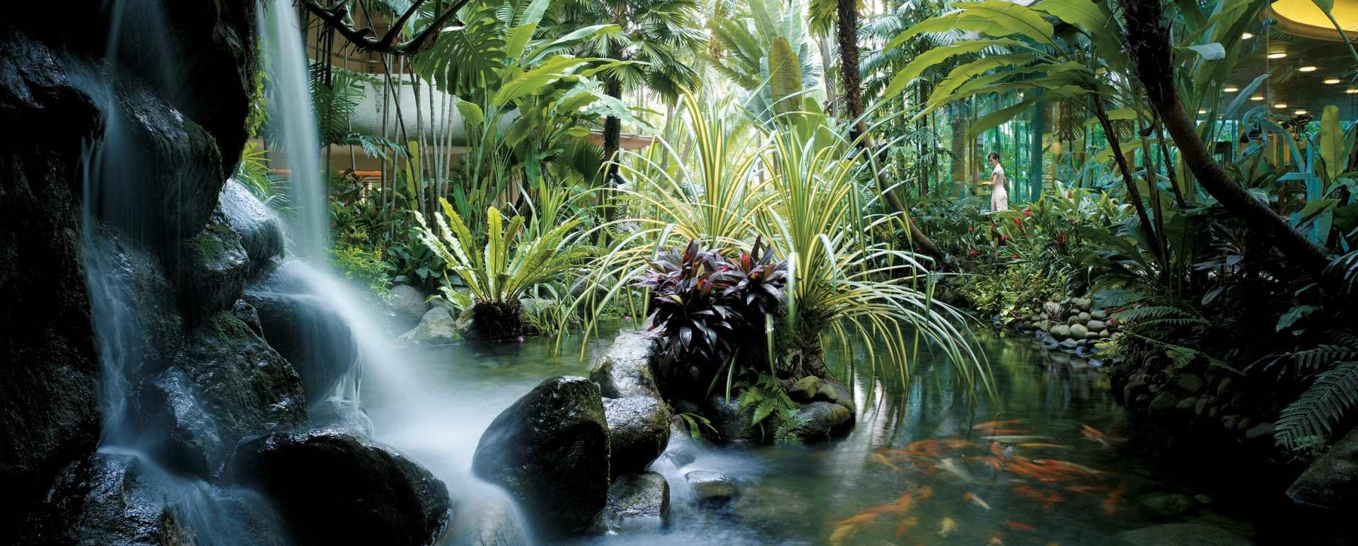 Waterfall Koi Pond - Shangri-La Singapore
