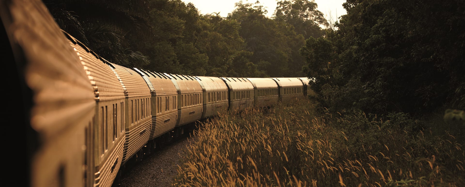 Trian view  