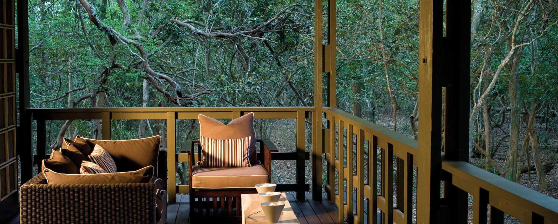 Phinda Forest Lodge