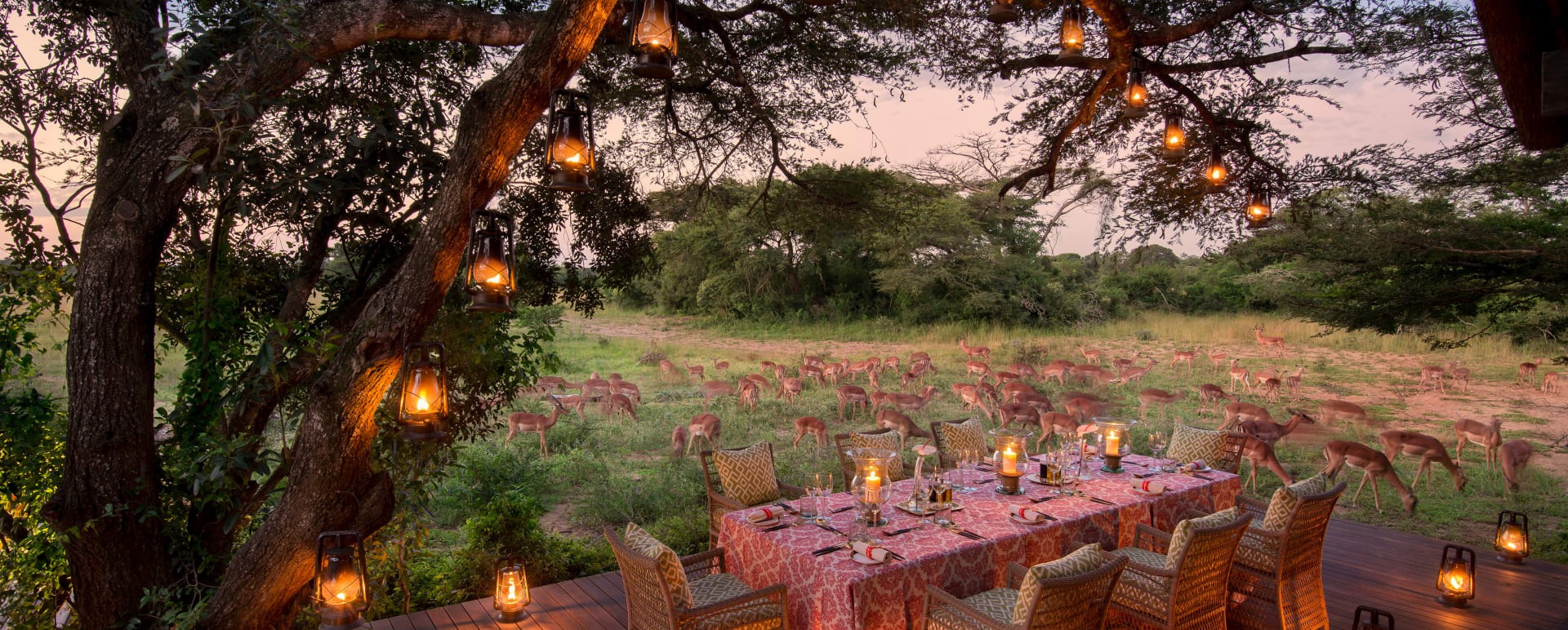 outside dinner  