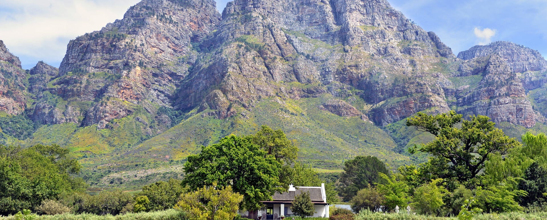 Mountain view 
