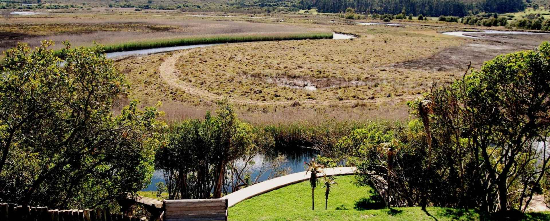 View from the lodge - Emily Moon