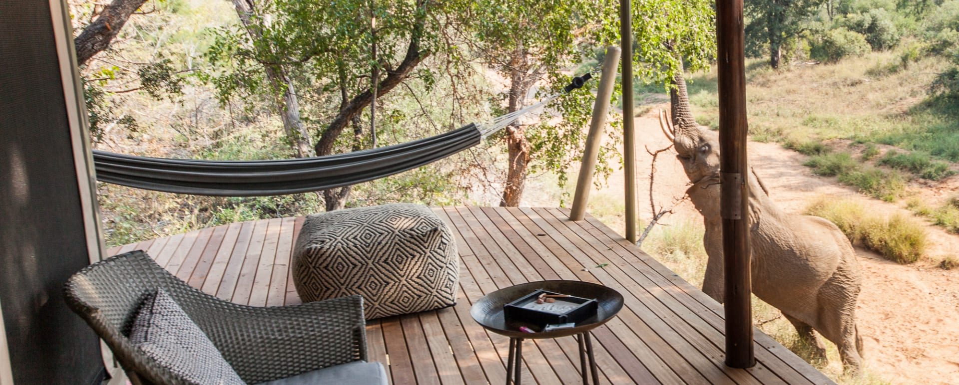 Deck with elephant 