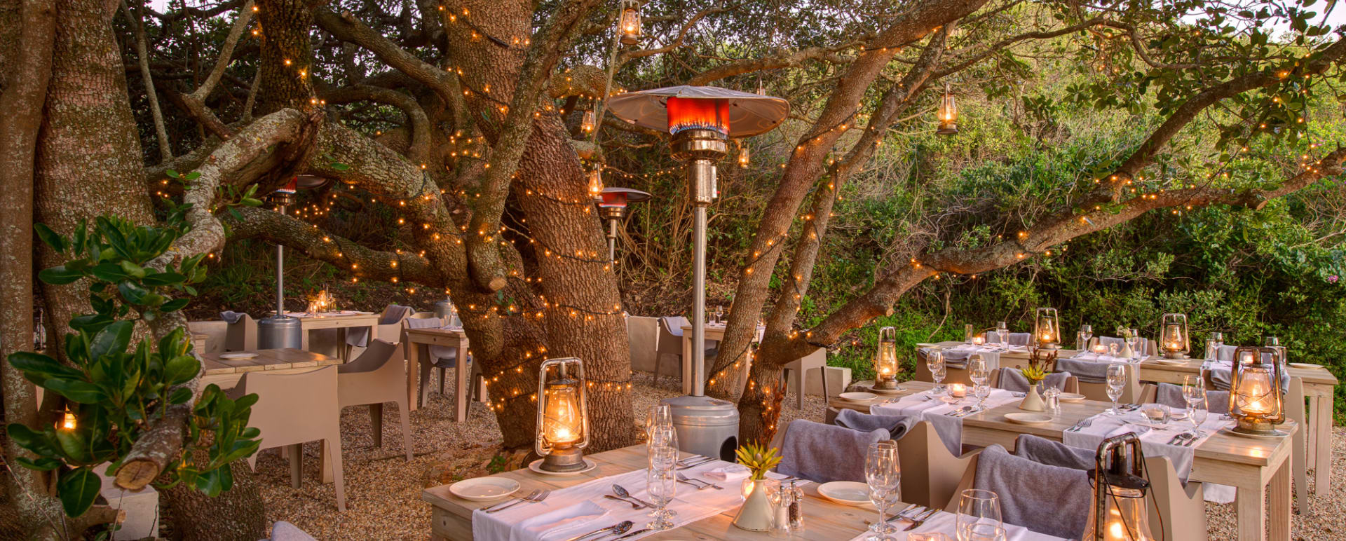 Outside dinner 