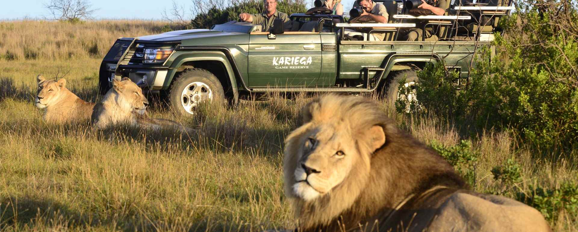 Kariega Game Drive - Kariega River Lodge