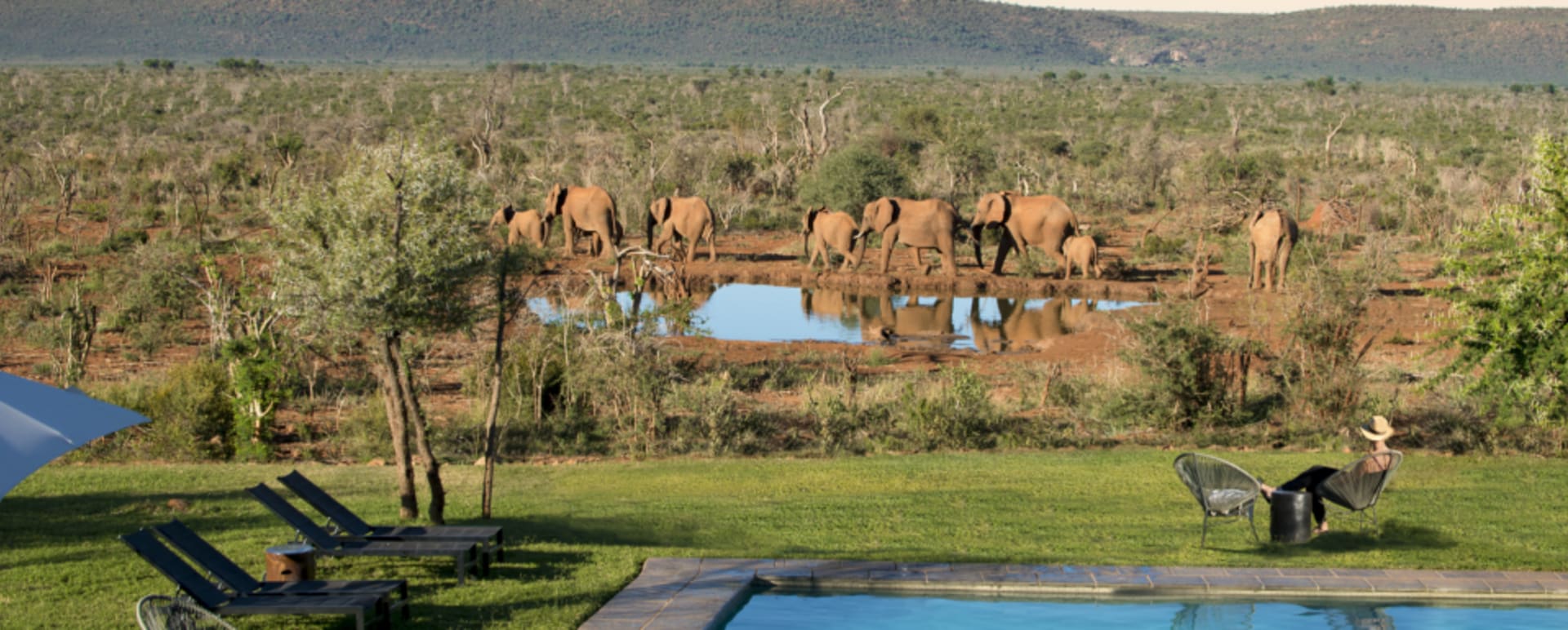 Pool Lelapa 