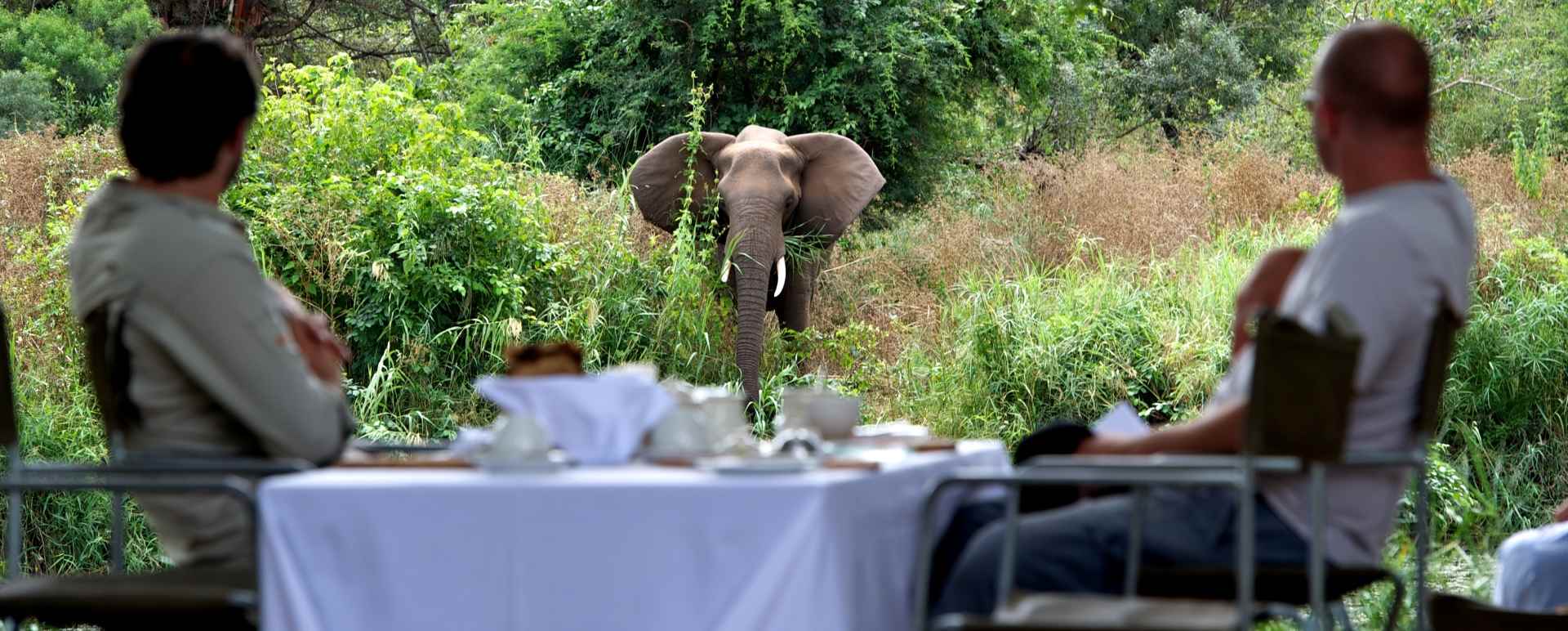 Lunch views - Singita Lebombo Lodge