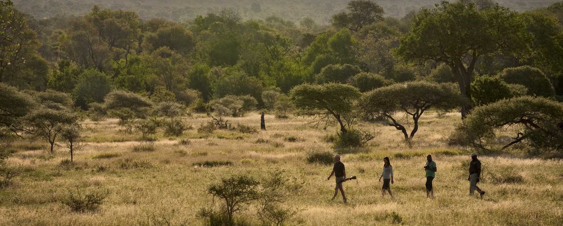 Activities at Lion Sands