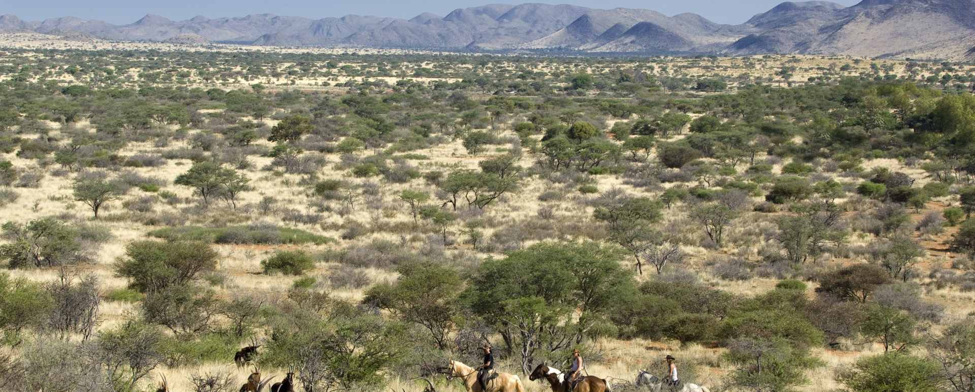 Activities at Tswalu