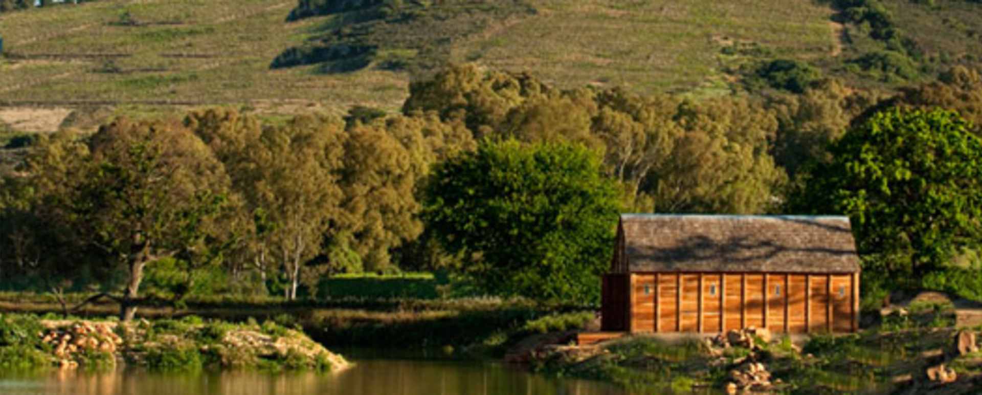 Out and about at Babylonstoren