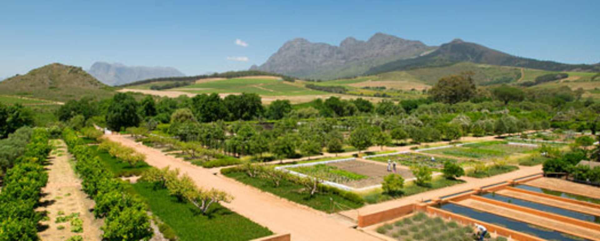 The Garden at Babylonstoren