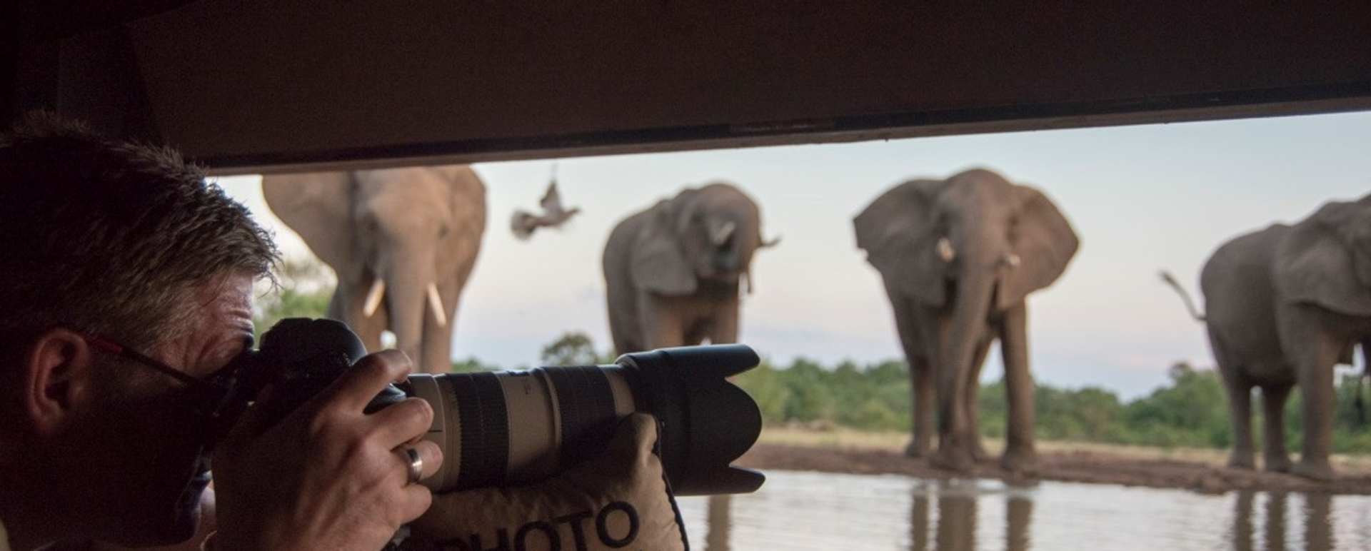 Hide at Mashatu 