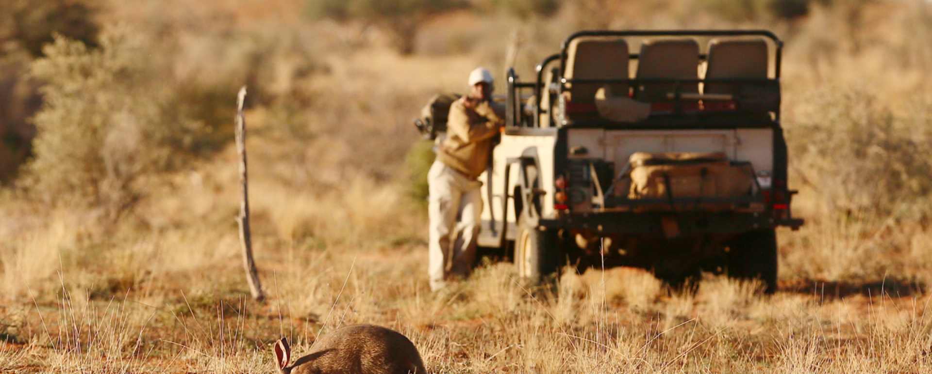Kalahari safari 