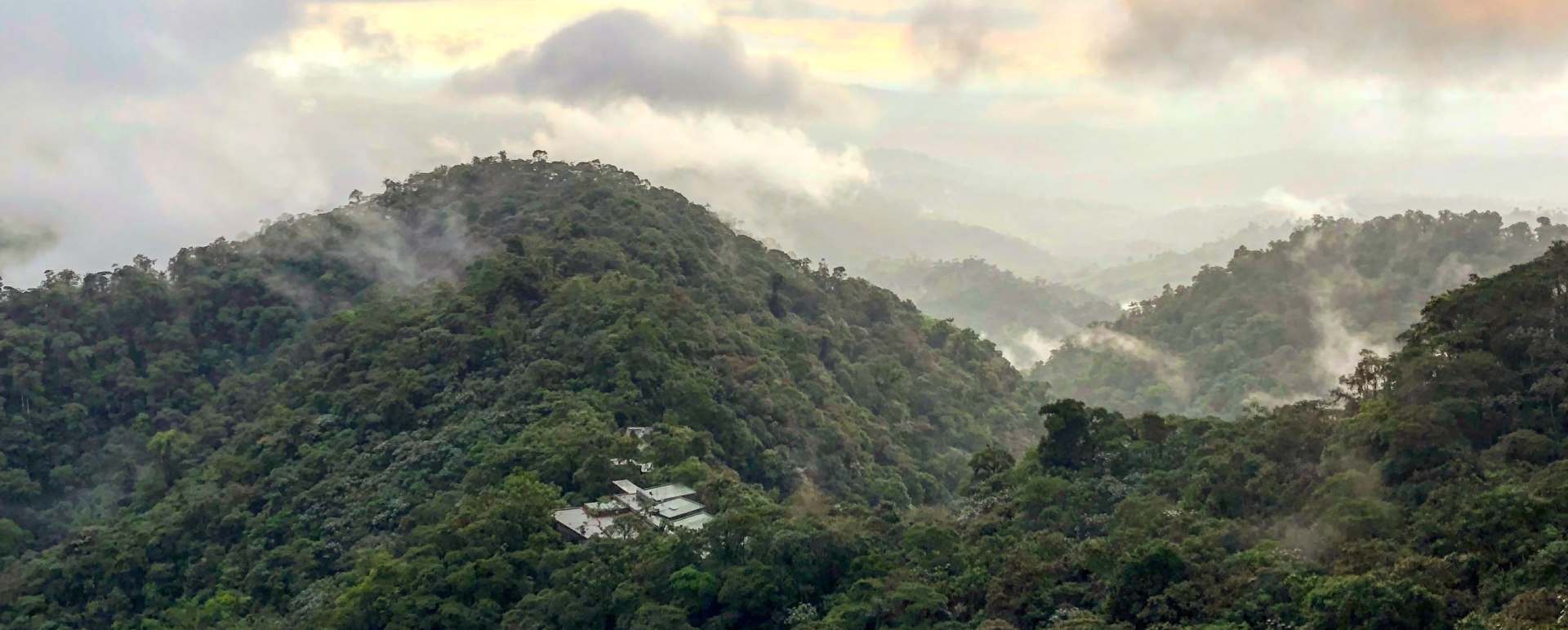 Cloudforest