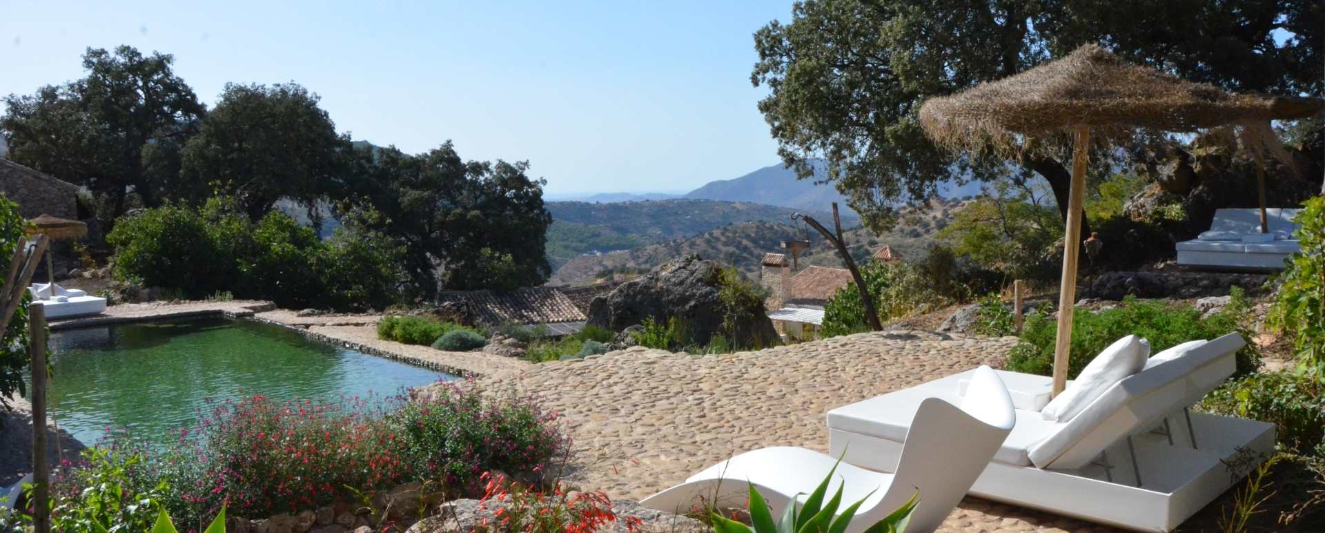 Pool - Finca La Donaira