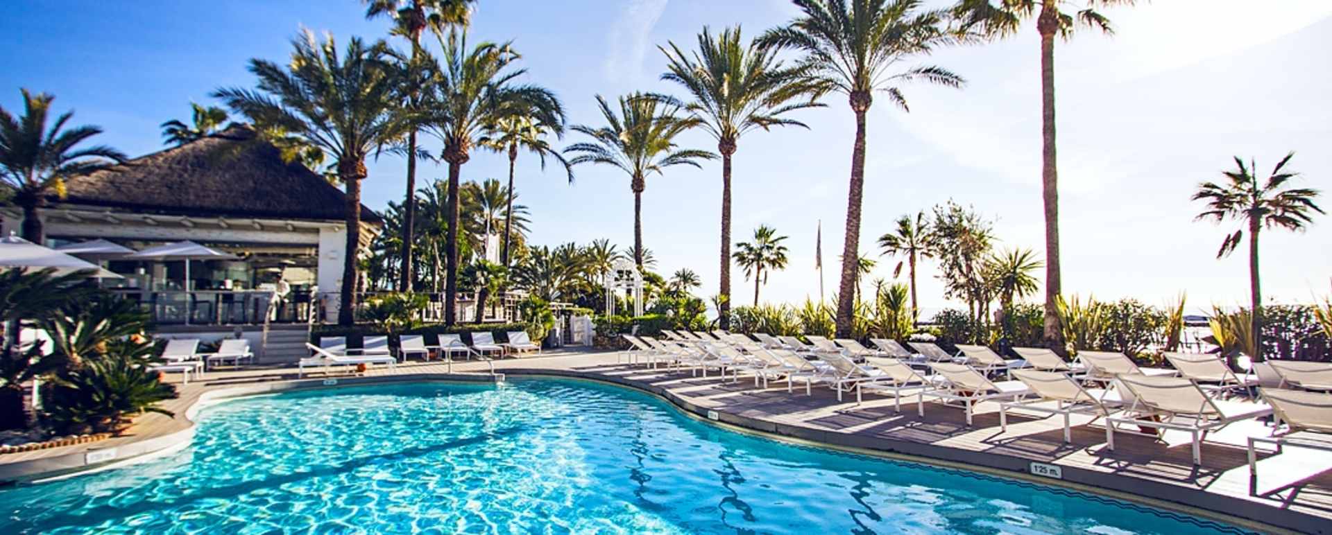 Sea Grill Pool 