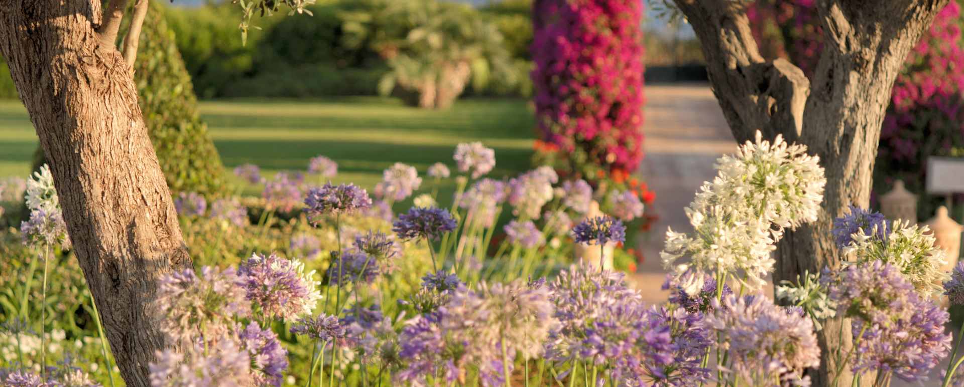 Gardens   