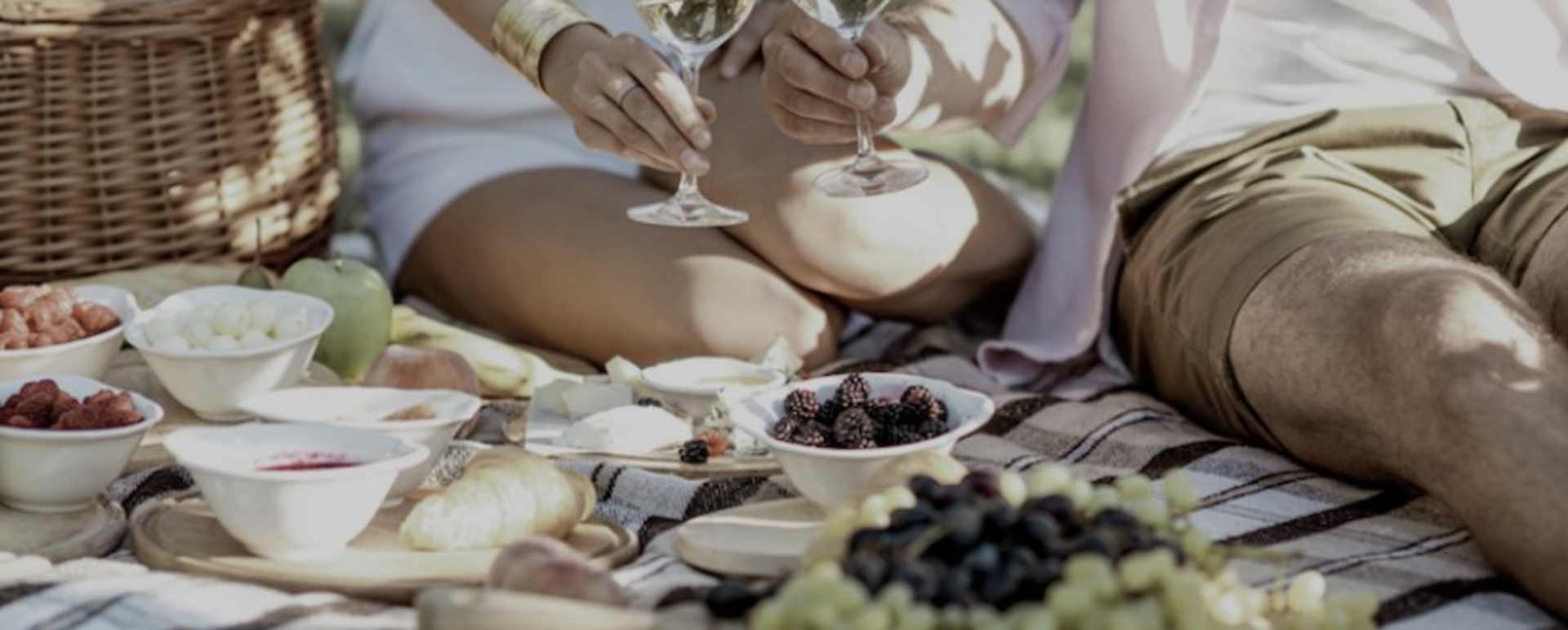 Picnic in the vineyards of Rioja