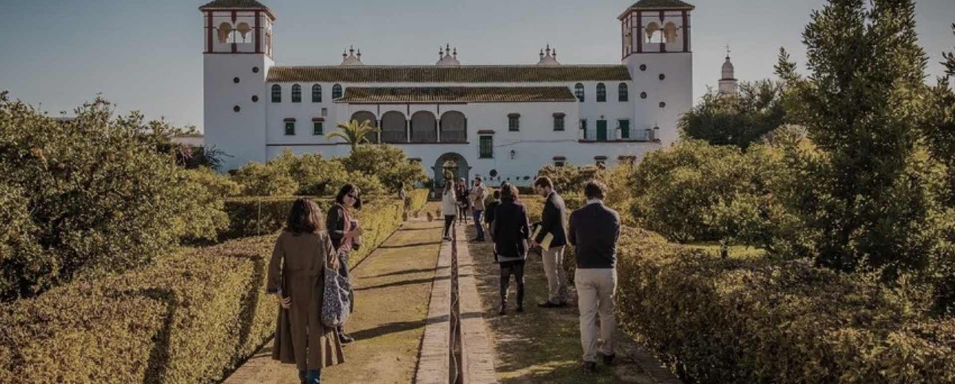 Visit Olive Oil Tasting and Picnic and Hacienda Guzman Scott Dunn