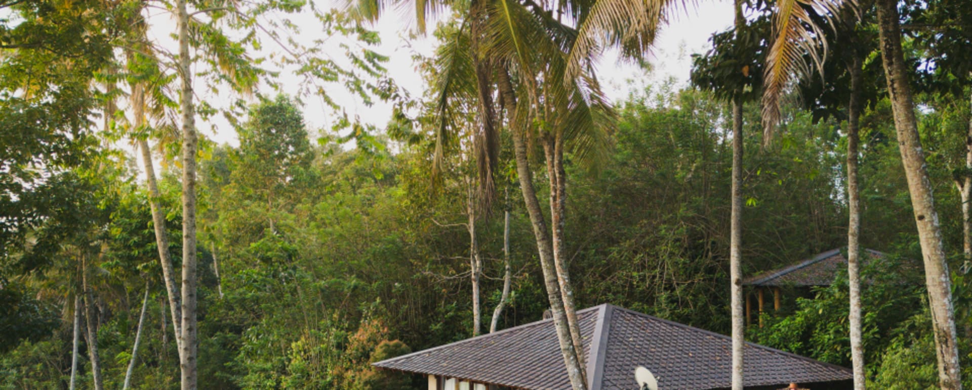 Property Views - Aarunya Nature Resort 
