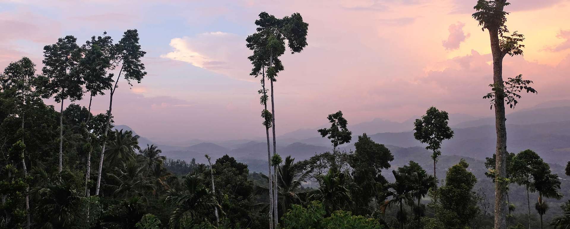 Sunset Views - Aarunya Nature Resort 
