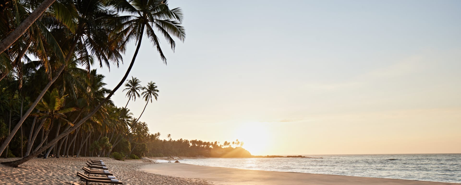 Beach View 