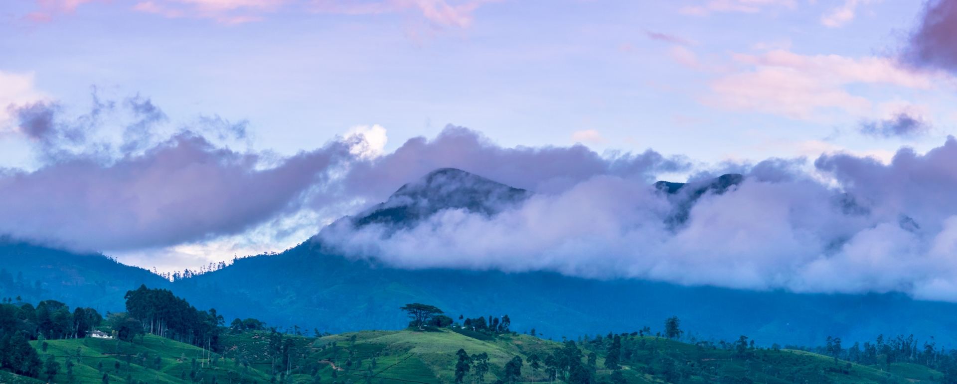 Incredible Views - Camellia Hills