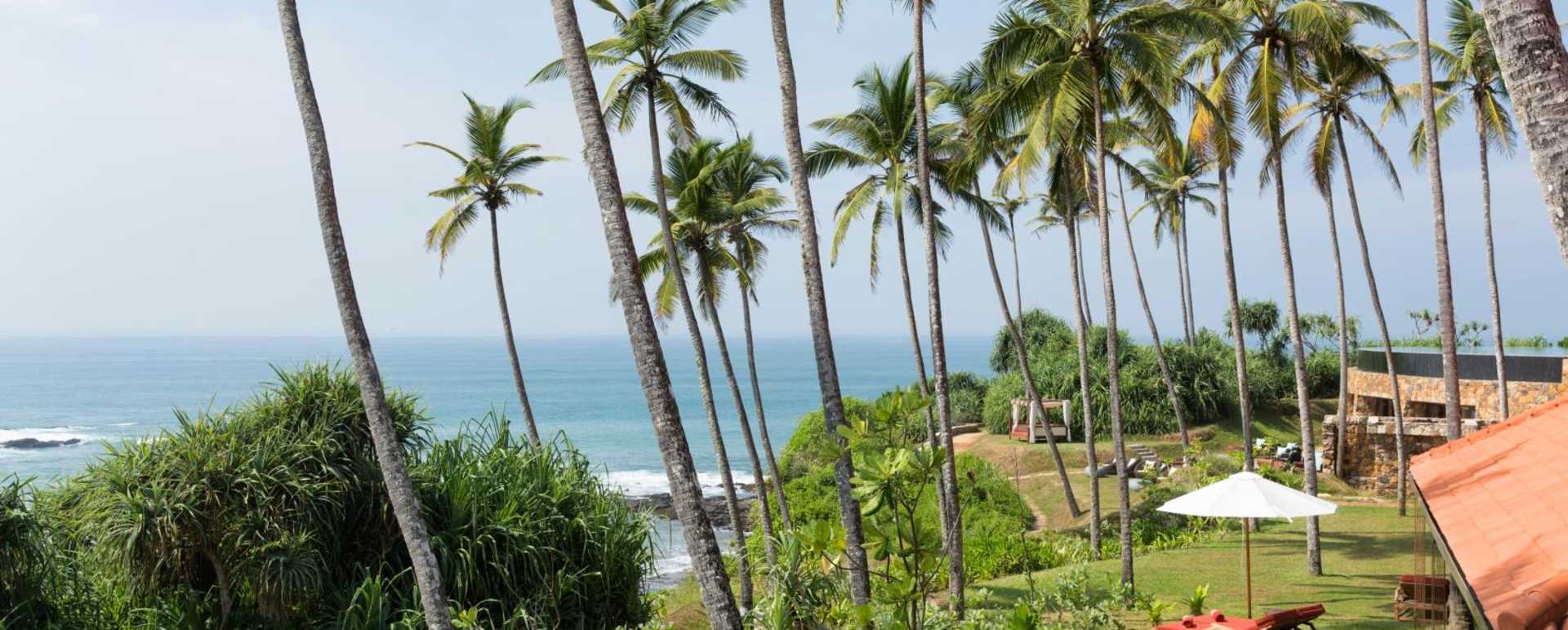 Garden - Cape Weligama