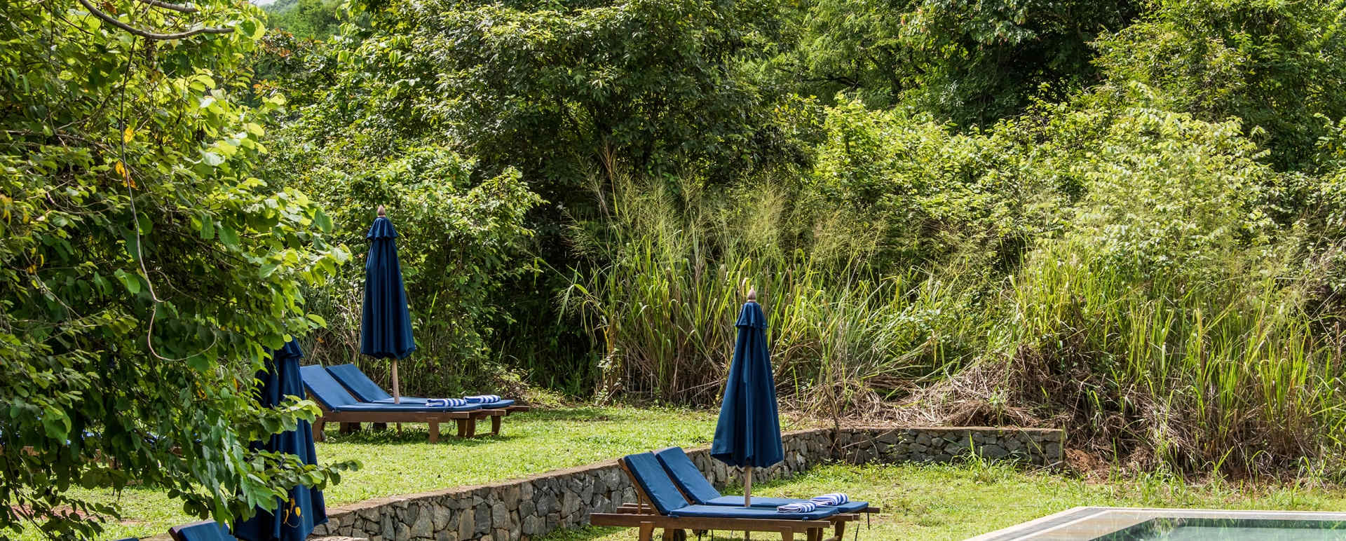 Pool - Gal Oya Lodge