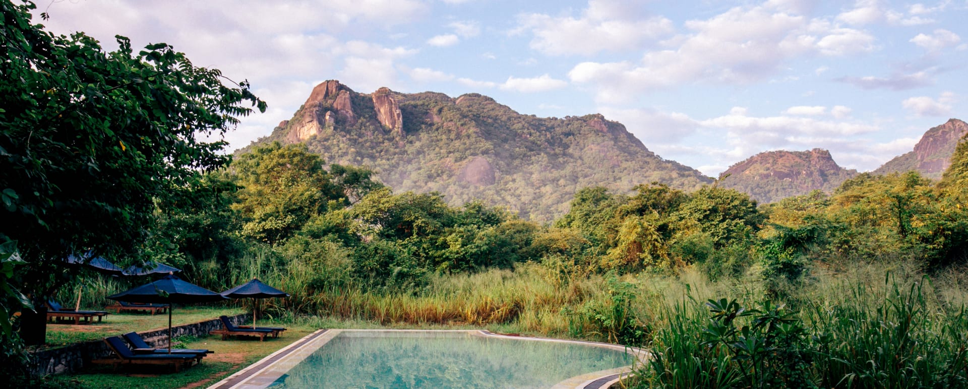 Pool View - Gal Oya Lodge 