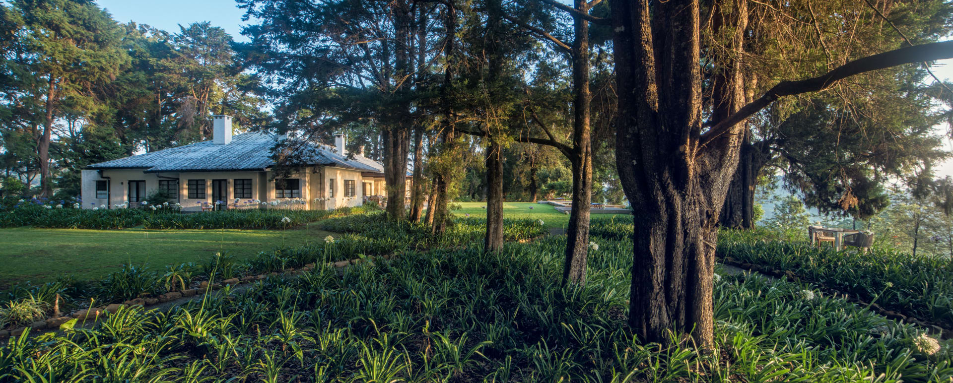 Bungalow 