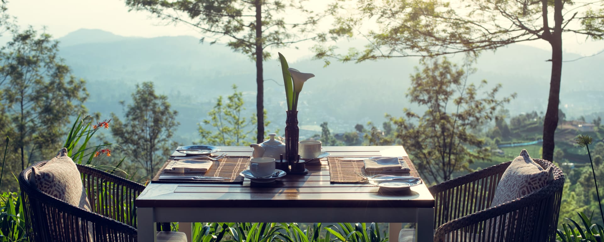 Dining views 