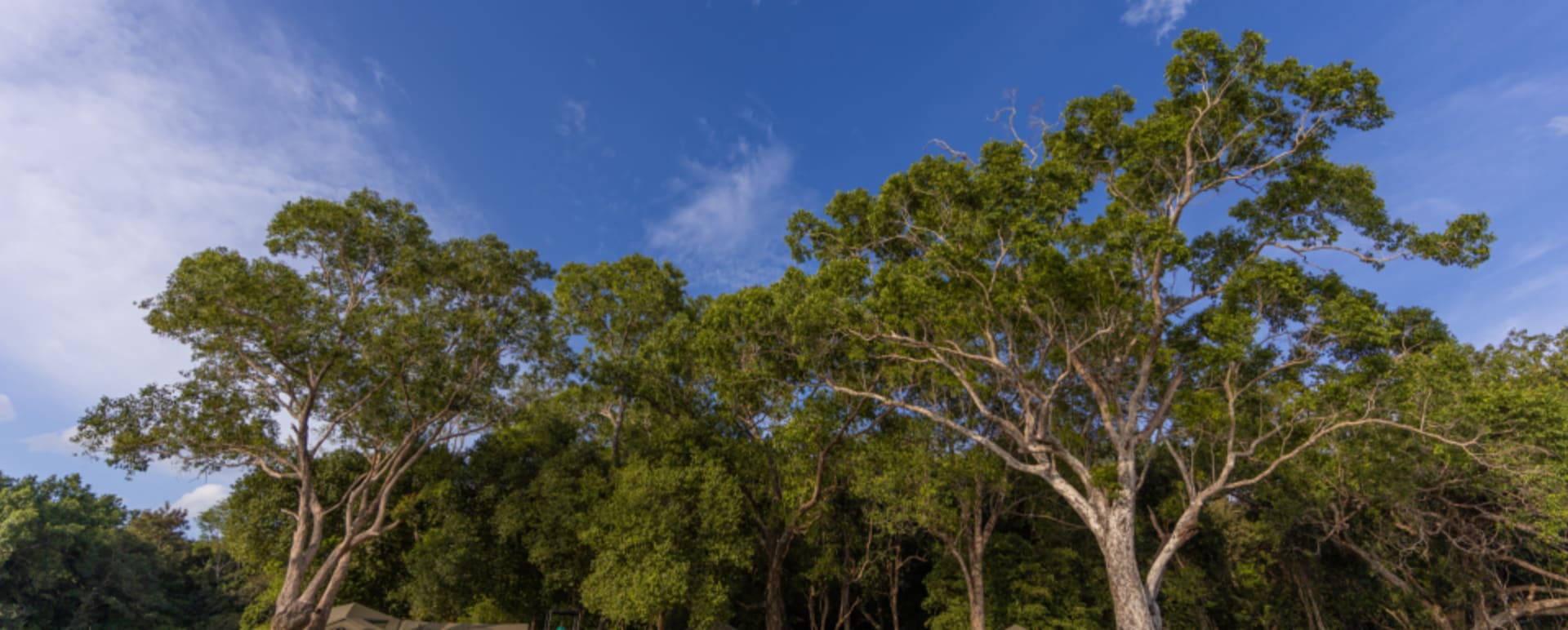 Under the trees - Kumana Under Canvas 