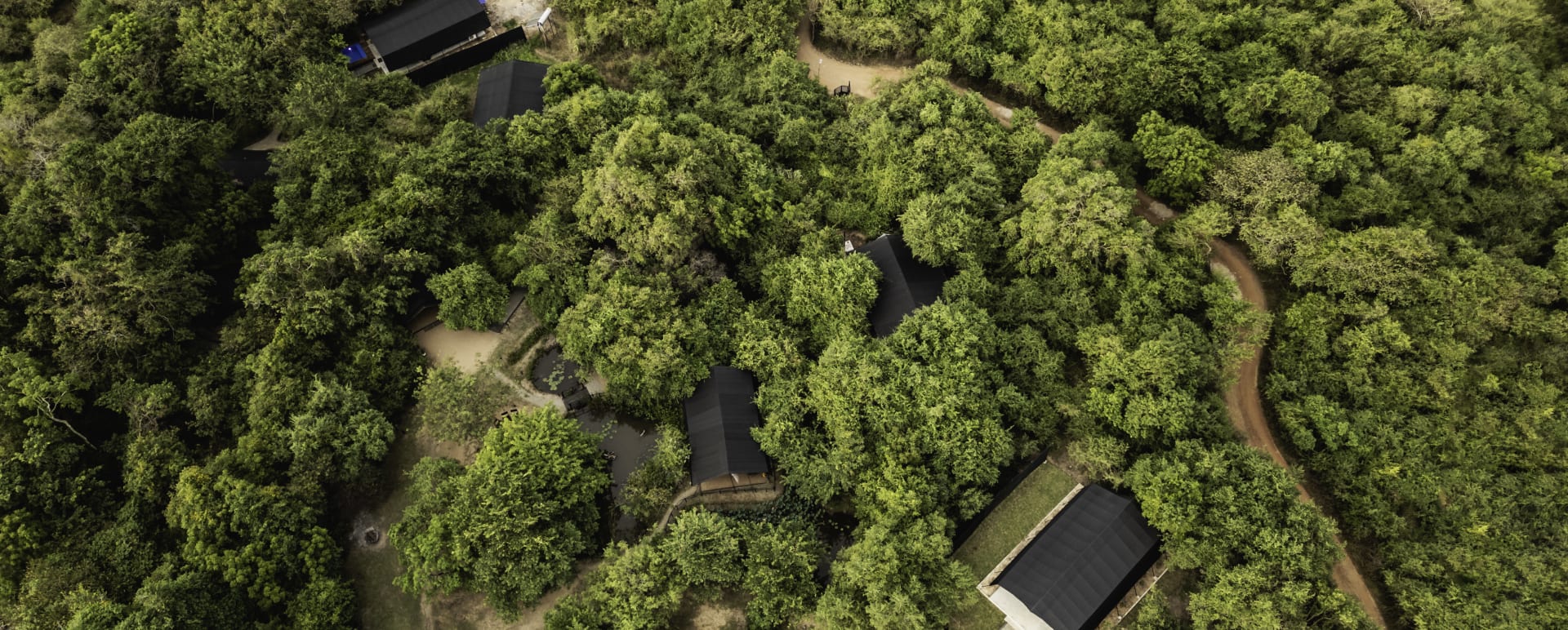 From above - Leopard Trails Wilpattu 